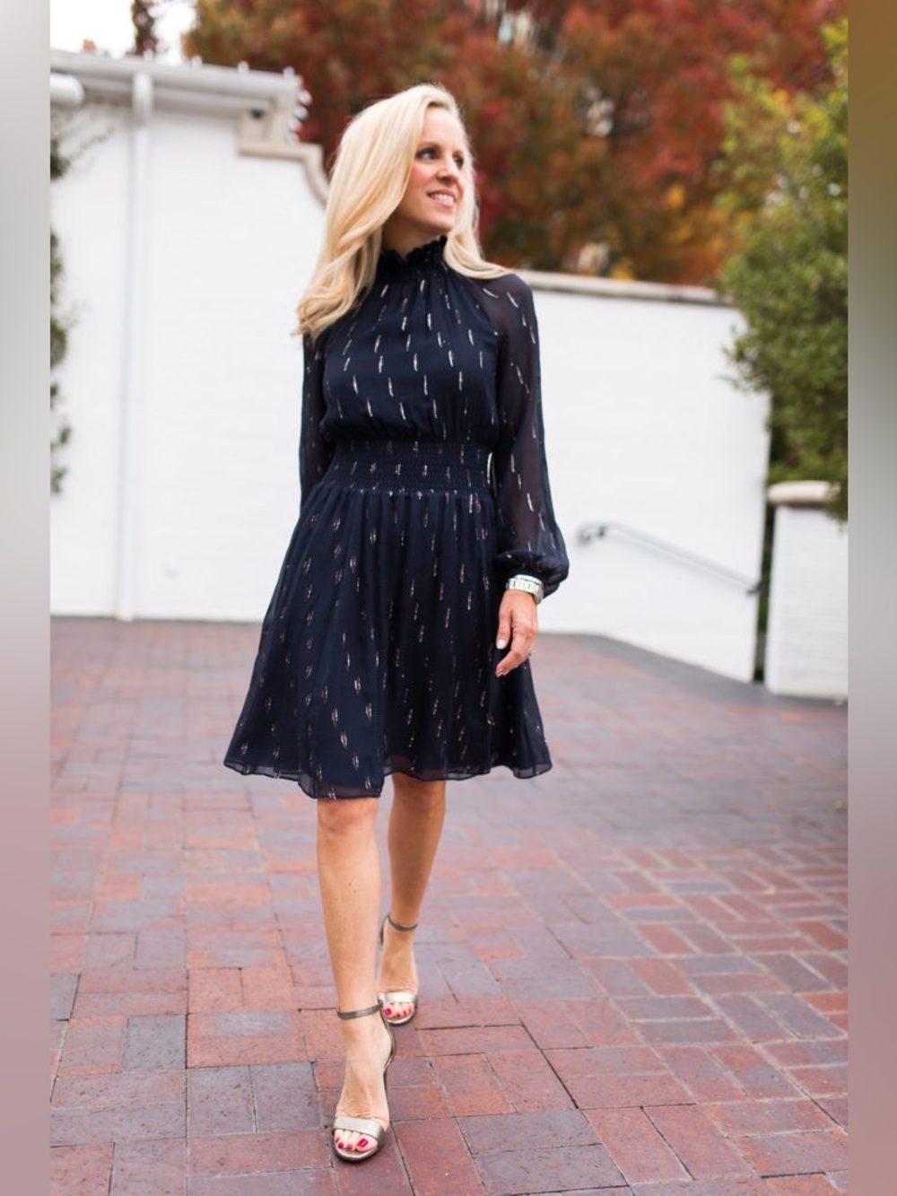 Rebecca Taylor Navy & Silver dot print, Long-Sleeve Smocked Waist Dress, Sz 4